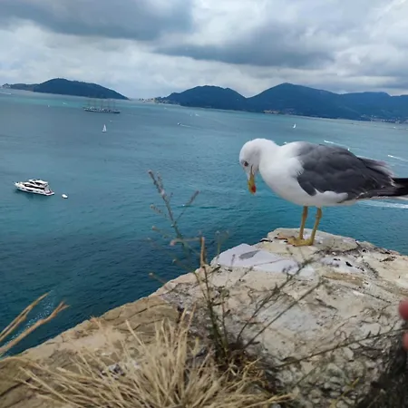 Apartamento Casa Cargia' Holidays *