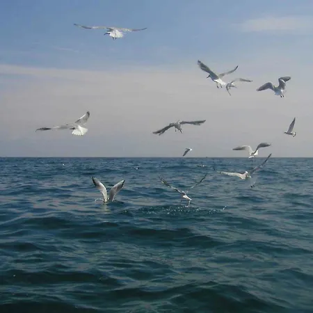 Casa Cargia' Holidays 公寓 *